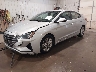 5NPD84LFXKH****** Used and Repairable 2019 Hyundai Elantra in Sioux Falls