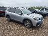 JF2SKAEC0KH****** Salvage and Wrecked 2019 Subaru Forester in Chicago North