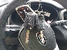 5XYPGDA5XKG****** Salvage 2019 Kia Sorento in Virginia State