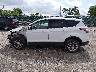 1FMCU9GD6HU****** Repairable 2017 Ford Escape in Kentucky State