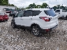 1FMCU9GD6HU****** Salvage and Repairable 2017 Ford Escape in Bowling Green