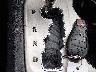 1C4RJFAGXDC****** Salvamento 2013 Jeep Grand Cherokee en Estado de Kentucky