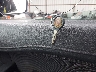 ME3GFM240PK****** Salvage 2023 Royal Enfield Scram 411 in Colorado State