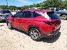 5NMJB3AE6PH****** Salvamento y Reparables 2023 Hyundai Tucson en Concord