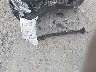 5XXGT4L36LG****** Wrecked 2020 Kia Optima in Ohio State
