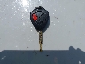 5Y2SR67049Z****** Salvage 2009 Pontiac Vibe in Oklahoma State