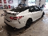 4T1NZ1AK4LU****** Salvamento y Destrozados 2020 Toyota Camry en Estado de Luisiana