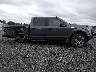 1FTEW1EP9LK****** Reparables 2020 Ford F-150 en Estado de Carolina del Sur