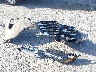 5N1BT3BA1SC****** Salvage 2025 Nissan Rogue in California State
