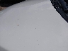 KNAFK4A66G5****** Reparables 2016 Kia Forte en Estado de Wisconsin