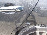 1N4AA5AP1AC****** Salvamento y Reparables 2010 Nissan Maxima en Estado de Kentucky