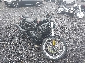 MLY1ZF116SS****** Salvamento y Destrozados 2025 Harley-Davidson Nightster en Rec Rides Online Exclusive