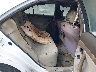4T1BE46K68U****** Destrozados 2008 Toyota Camry en Metro DC