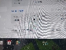 7SAYGDEE6RA****** Wrecked 2024 Tesla Model Y