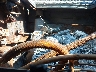 B6202*** Repairable 2024 Caterpillar 299d3 Xe in Specialty Division