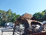 B6202*** Salvage 2024 Caterpillar 299d3 Xe