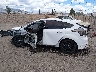 1FADP3L98EL****** Salvage 2014 Ford Focus