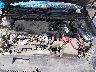 4T1B11HK2KU****** Reparables 2019 Toyota Camry en New Orleans East