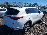 KNDPNCAC9K7****** Salvamento y Destrozados 2019 Kia Sportage en Estado de Nueva York