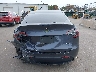 7SAYGDEF4PF****** Wrecked 2023 Tesla Model Y