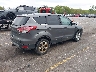 1FMCU9G96EU****** Salvage and Wrecked 2014 Ford Escape in Michigan State
