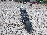 1HFSC46315A****** Salvamento y Reparables 2005 Honda Vtx1800 en Estado de Kentucky