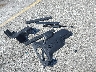 1C4PJXDG9TW****** Wrecked 2026 Jeep Wrangler in California State