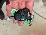 2D4FV48V05H****** Repairable 2005 Dodge Magnum in Los Angeles