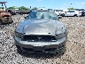 1ZVBP8EM4D5****** Salvage and Repairable 2013 Ford Mustang in Hawaii State