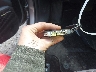 3KPFW4DE7SE****** Salvage 2025 Kia K4 in Massachusetts State