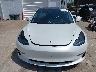 5YJ3E1EA8MF****** Destrozados 2021 Tesla Model 3 en Estado de Florida
