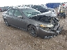 19UUA66228A****** Salvage and Wrecked 2008 Acura TL in Corpus Christi