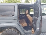 1C4HJWEG3FL****** Wrecked 2015 Jeep Wrangler in Atlanta