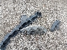 2G1WF5E34C1****** Destrozados 2012 Chevrolet Impala en Estado de Carolina del Sur