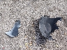 3N1CN8FV5RL****** Wrecked 2024 Nissan Versa in Florida State