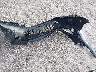 2HGFE1F7XPH****** Wrecked 2023 Honda Civic in Florida State