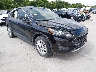 1FMCU0G69LU****** Salvamento y Destrozados 2020 Ford Escape en Dallas-Fort Worth
