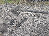 JA4AR3AU2JZ****** Destrozados 2018 Mitsubishi Outlander en Estado de Virginia Occidental