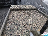 00000MWW000****** Used and Repairable 2021 * Other in Pennsylvania State