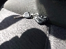 3GCRCREAXAG****** Salvamento 2010 Chevrolet Silverado 1500 en Estado de California