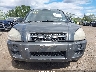 KM8JM12B19U****** Salvamento y Reparables 2009 Hyundai Tucson en Estado de Nueva York