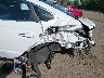 5NPEF4JA6MH****** Salvamento y Reparables 2021 Hyundai Sonata en Estado de Maryland