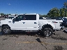 1FTEW1EG2FK****** Salvamento 2015 Ford F-150