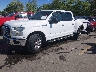 1FTEW1EG2FK****** Usados y Reparables 2015 Ford F-150 en Salt Lake City