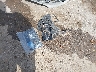 3KPFT4DE8SE****** Destrozados 2025 Kia K4 en Estado de Oklahoma