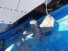 LCEFDTZ76RT****** Salvage 2024 CF Moto Zforce in North Dakota State