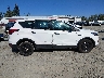 1FMCU0F75KU****** Reparables 2019 Ford Escape en Estado de Washington