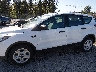 1FMCU0F75KU****** Salvamento 2019 Ford Escape