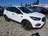 1FMCU0F75KU****** Salvamento y Destrozados 2019 Ford Escape en Seattle