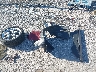 1FMCU0J90DU****** Wrecked 2013 Ford Escape in Illinois State